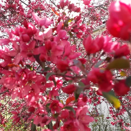 Apartment Vallee De Munster Dans Maison Avec Vue Imprenable *