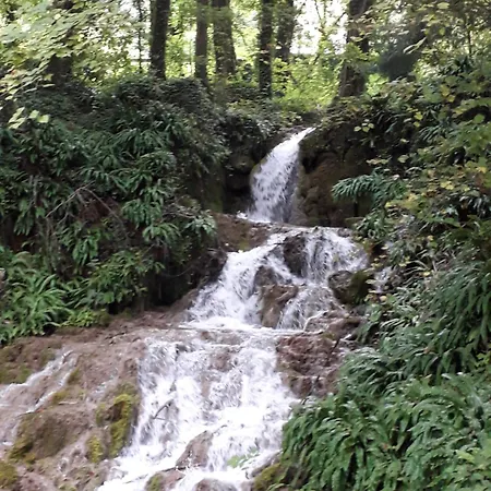 Apartment Vallee De Munster Dans Maison Avec Vue Imprenable *